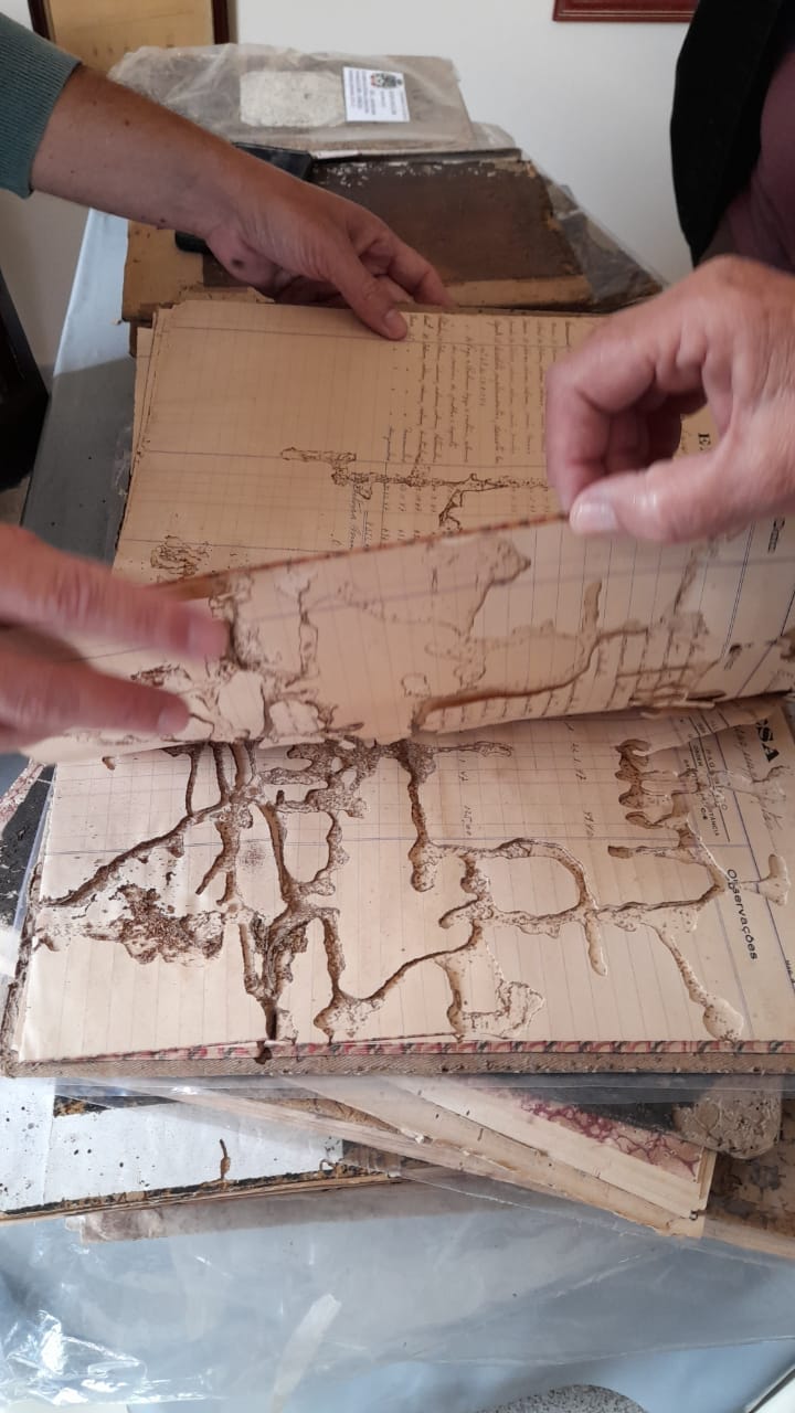 Restauração de Livros Históricos do Arquivo Municipal — foto 6